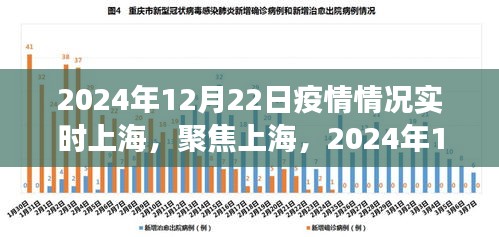 上海疫情实时更新，深度分析当前形势与未来展望（2024年12月22日）