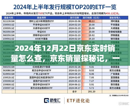 2024年京东实时销量查询，探秘销量背后的购物狂欢