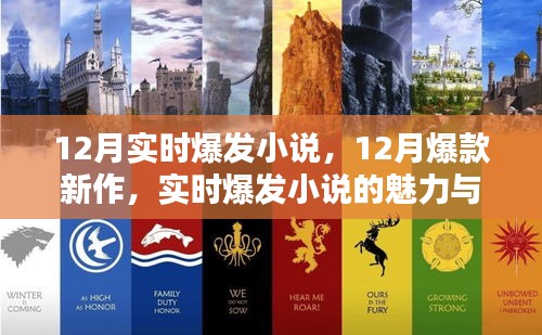 12月爆款新作揭秘，实时爆发小说的魅力与深度探索