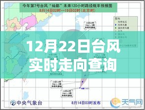 12月22日台风实时走向查询系统，价值与挑战的并存