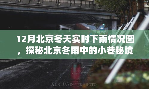 北京冬雨秘境，小巷里的温暖美食与实时雨景探秘