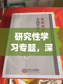 研究性学习专题，深度探索与实践之旅