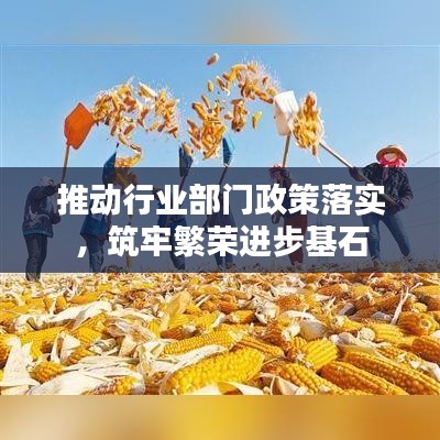 推动行业部门政策落实，筑牢繁荣进步基石