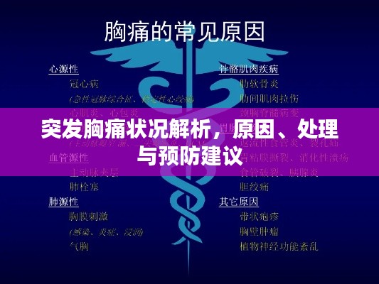 突发胸痛状况解析，原因、处理与预防建议