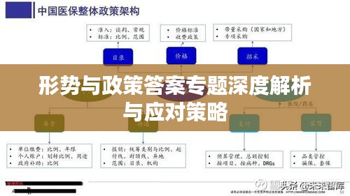 形势与政策答案专题深度解析与应对策略