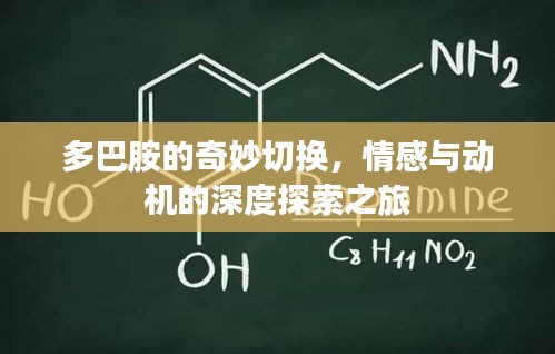 多巴胺的奇妙切换，情感与动机的深度探索之旅