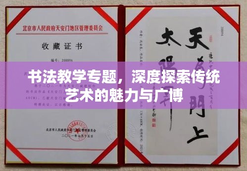 书法教学专题，深度探索传统艺术的魅力与广博