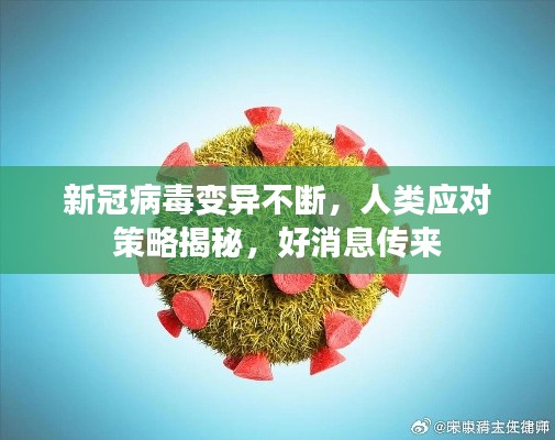 新冠病毒变异不断，人类应对策略揭秘，好消息传来