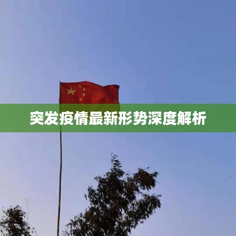 突发疫情最新形势深度解析