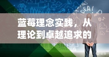 蓝莓理念实践，从理论到卓越追求的蜕变之路