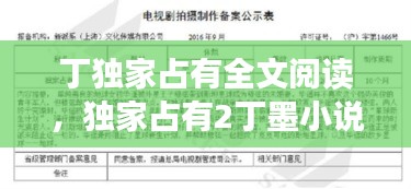 丁独家占有全文阅读，独家占有2丁墨小说全文免费阅读 