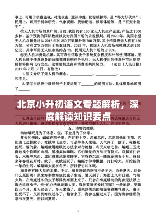 北京小升初语文专题解析，深度解读知识要点