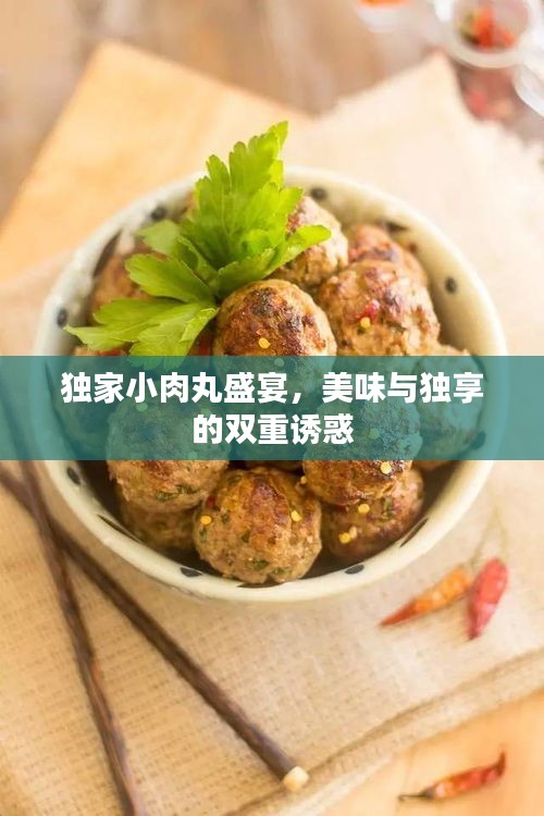 独家小肉丸盛宴，美味与独享的双重诱惑