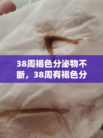 38周褐色分泌物不断，38周有褐色分泌物不痛 