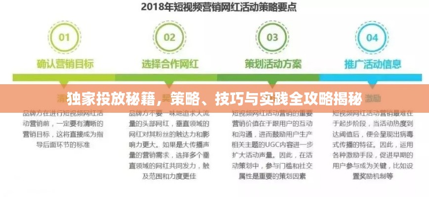 独家投放秘籍，策略、技巧与实践全攻略揭秘