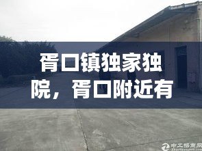 胥口镇独家独院，胥口附近有房子出租吗 