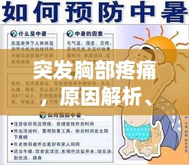 突发胸部疼痛，原因解析、应对方法与预防策略