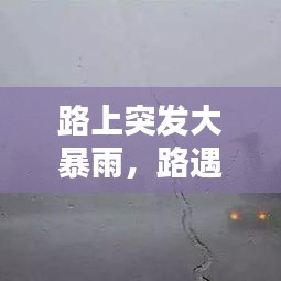 路上突发大暴雨，路遇暴雨 