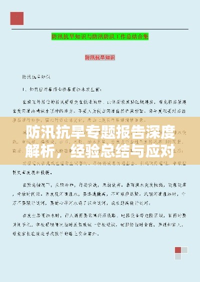 防汛抗旱专题报告深度解析，经验总结与应对策略