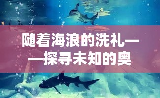 随着海浪的洗礼——探寻未知的奥秘