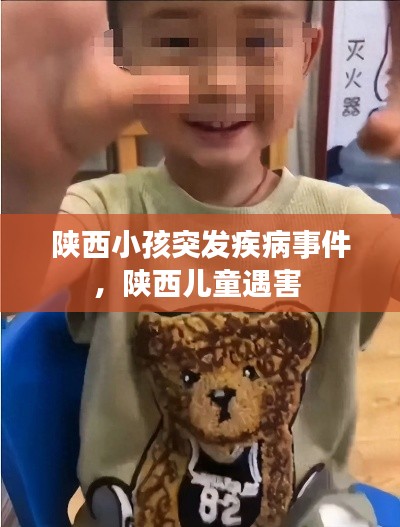 陕西小孩突发疾病事件，陕西儿童遇害 