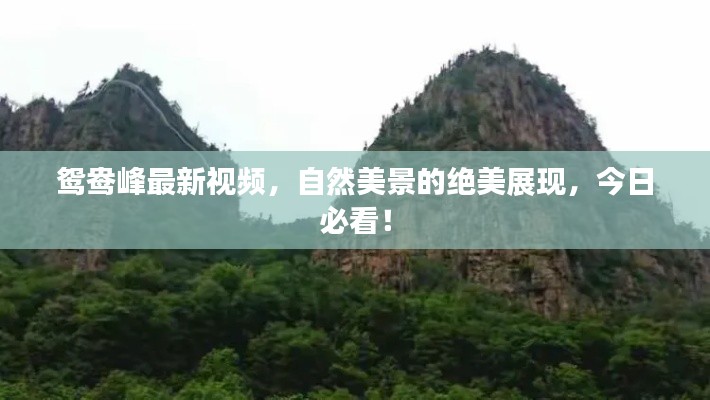 鸳鸯峰最新视频，自然美景的绝美展现，今日必看！