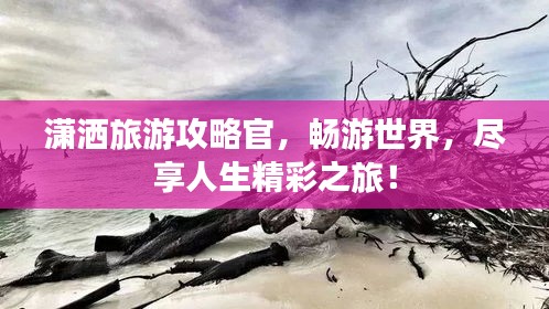 潇洒旅游攻略官，畅游世界，尽享人生精彩之旅！