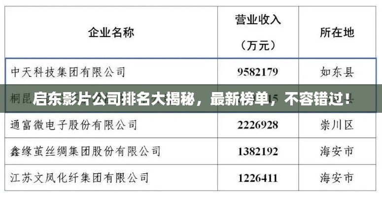 启东影片公司排名大揭秘，最新榜单，不容错过！