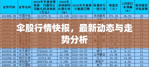 伞股行情快报，最新动态与走势分析