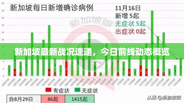 新加坡最新战况速递，今日前线动态概览