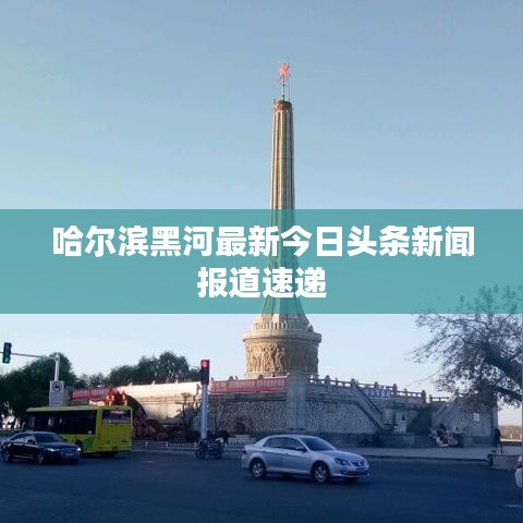 哈尔滨黑河最新今日头条新闻报道速递