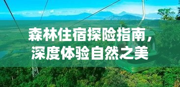 森林住宿探险指南，深度体验自然之美