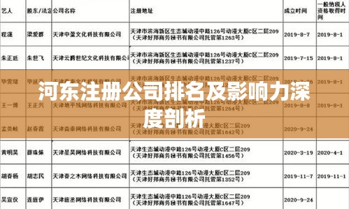 河东注册公司排名及影响力深度剖析