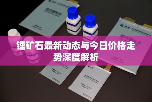 锂矿石最新动态与今日价格走势深度解析