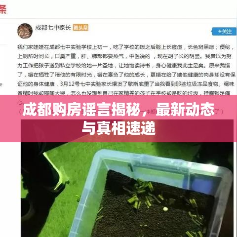 成都购房谣言揭秘，最新动态与真相速递