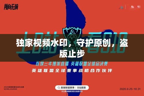 独家视频水印，守护原创，盗版止步