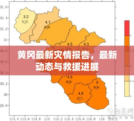 黄冈最新灾情报告，最新动态与救援进展