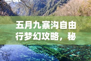 五月九寨沟自由行梦幻攻略，秘境探秘，尽享自然之美