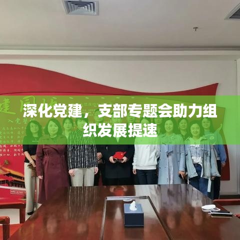 深化党建，支部专题会助力组织发展提速