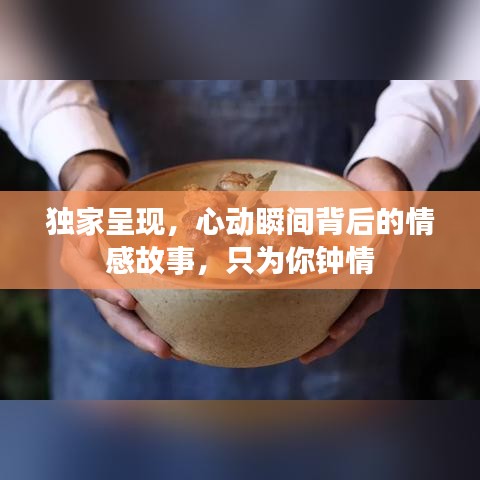 囊萤映雪