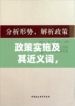 政策实施及其近义词，深度解析与领悟