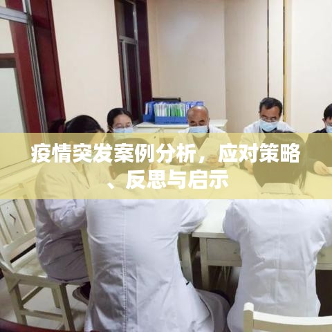 疫情突发案例分析，应对策略、反思与启示