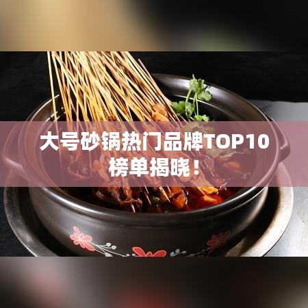 大号砂锅热门品牌TOP10榜单揭晓！