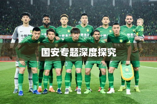 国安专题深度探究