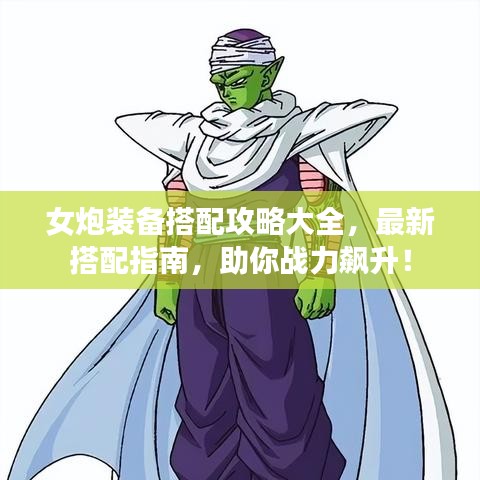 女炮装备搭配攻略大全，最新搭配指南，助你战力飙升！
