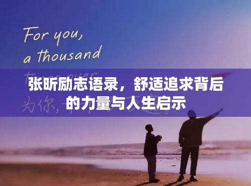 张昕励志语录，舒适追求背后的力量与人生启示
