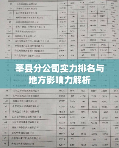 莘县分公司实力排名与地方影响力解析