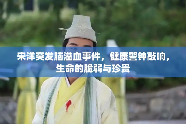 宋洋突发脑溢血事件，健康警钟敲响，生命的脆弱与珍贵