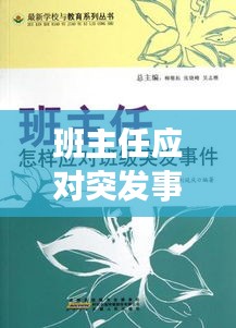班主任应对突发事件的高效策略与方法探讨