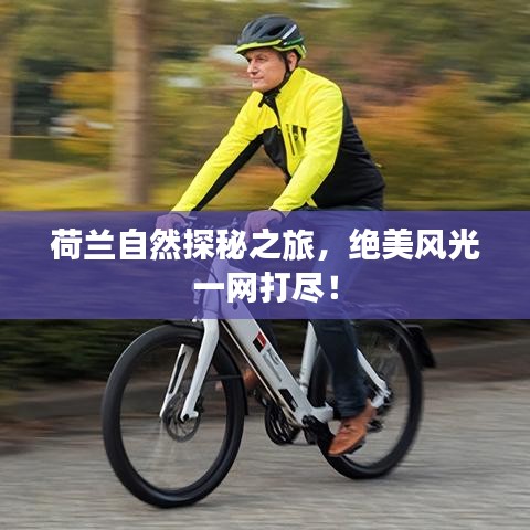 荷兰自然探秘之旅，绝美风光一网打尽！